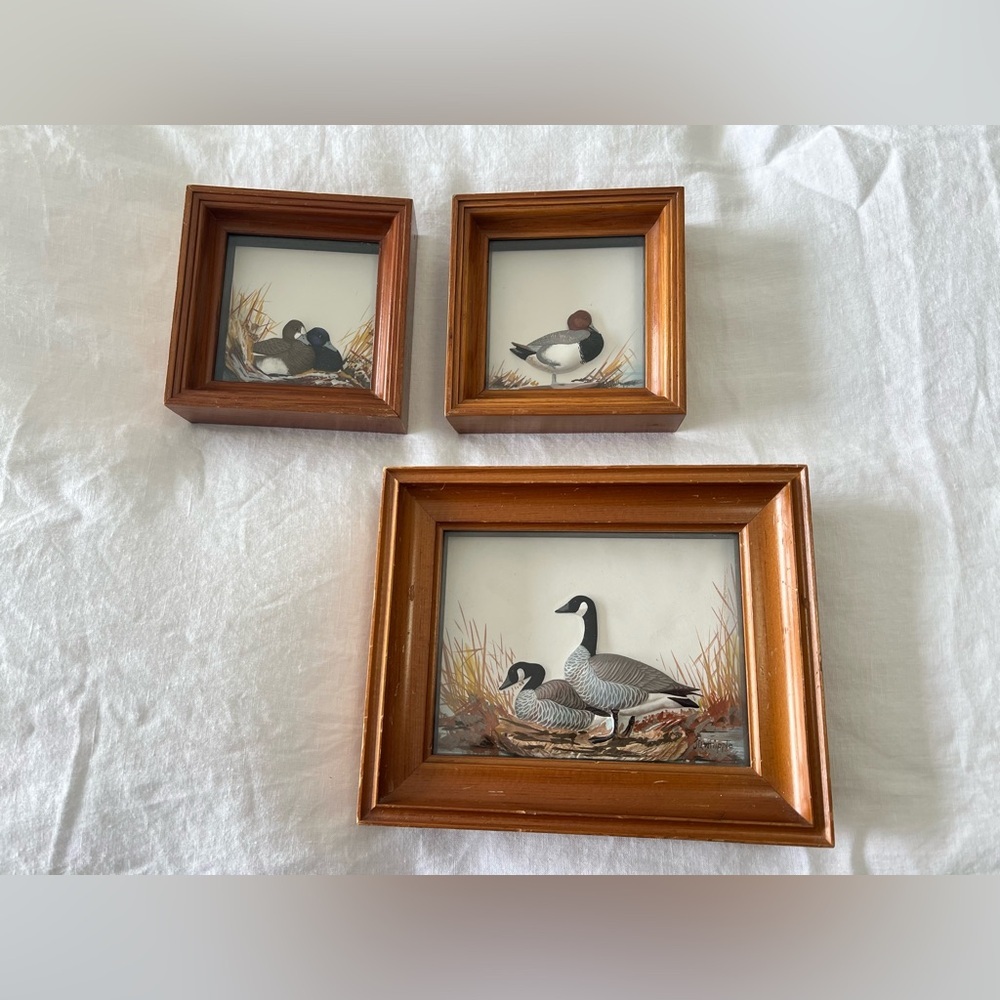 NOT FOR SALE - Picture 2 of 14